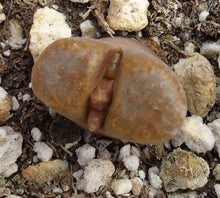 Load image into Gallery viewer, Conophytum triebneri