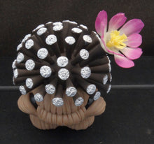 Load image into Gallery viewer, Mammillaria luethyi Figurine