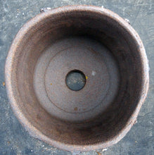 Load image into Gallery viewer, June's Pot #48 (5")
