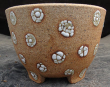 Load image into Gallery viewer, June's Pot #50 (5")
