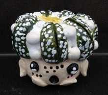 Load image into Gallery viewer, Astrophytum asterias Super Kabuto Figurine
