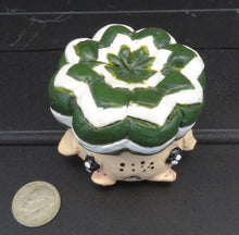 Load image into Gallery viewer, Astrophytum Asterias V-type Figurine
